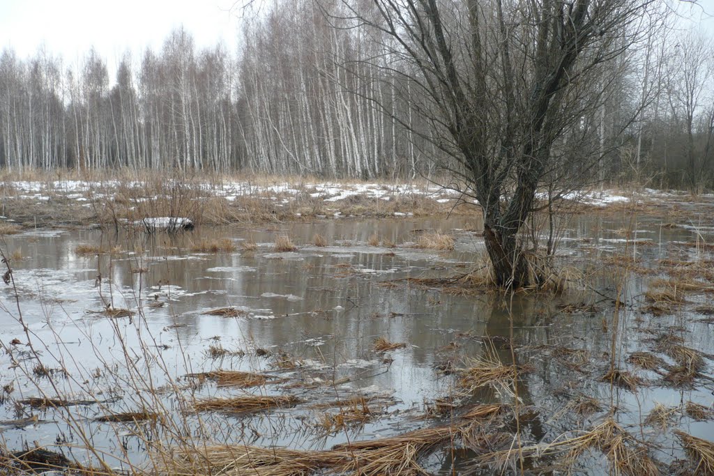 Панорамка.