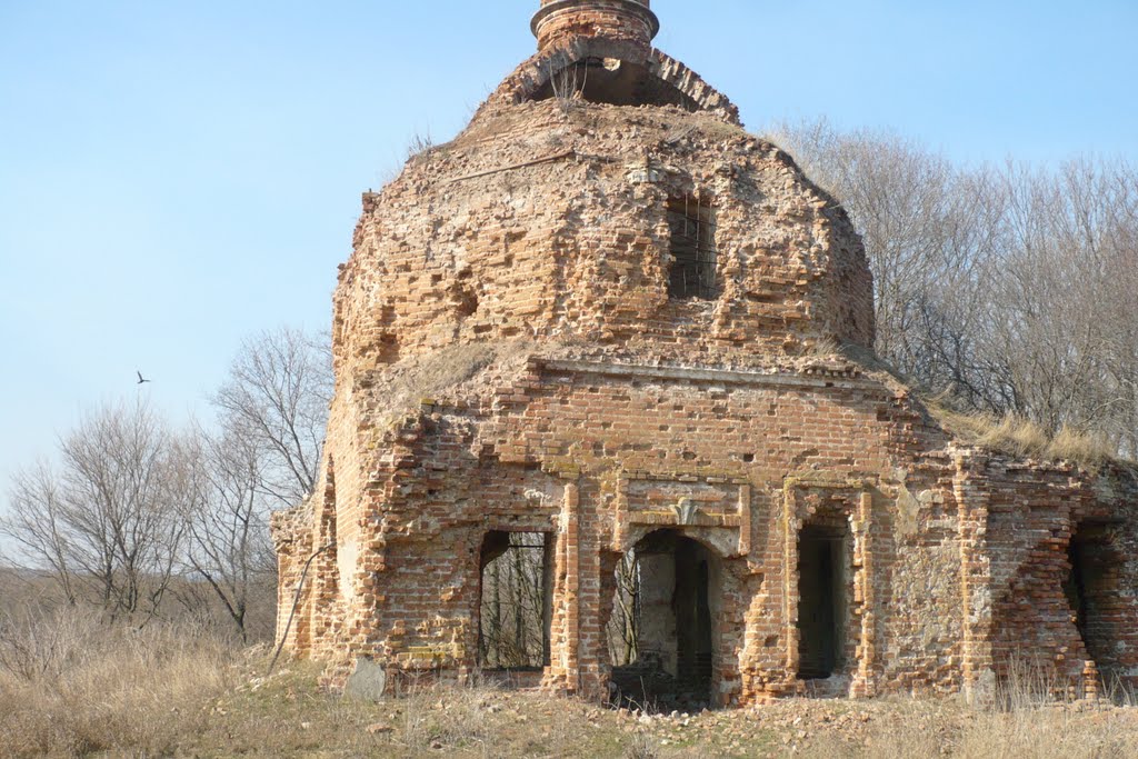 Разрушенная церковь д.Муравлянка.