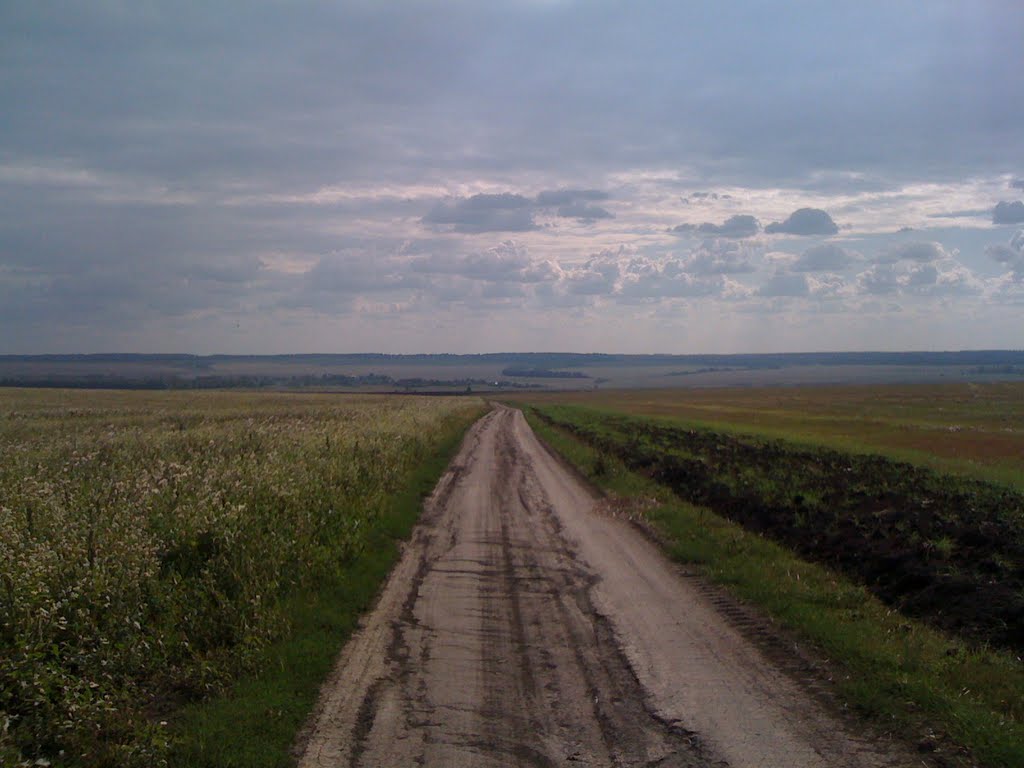 Дорога к р. Дон
