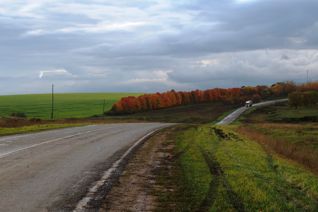 Куликово поле 3