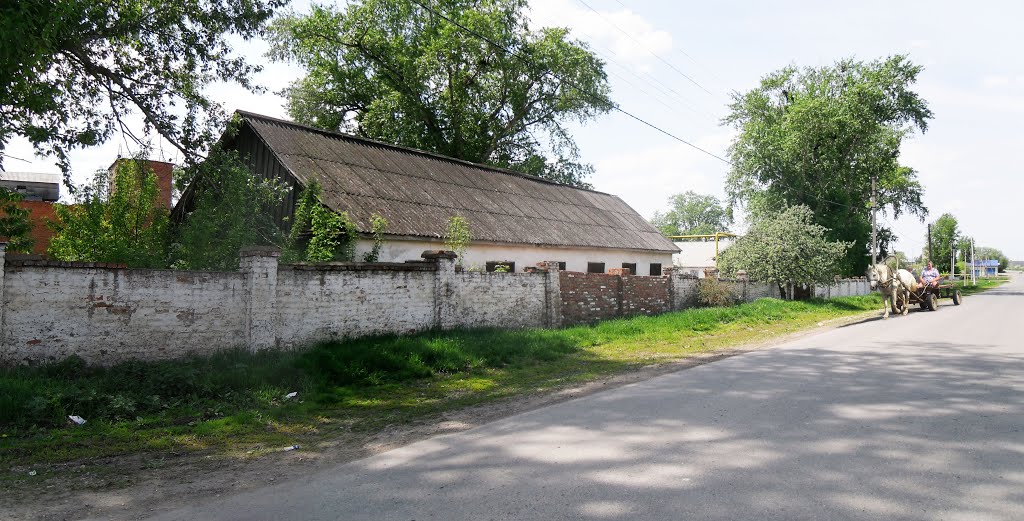 Куркинская незнакомка.