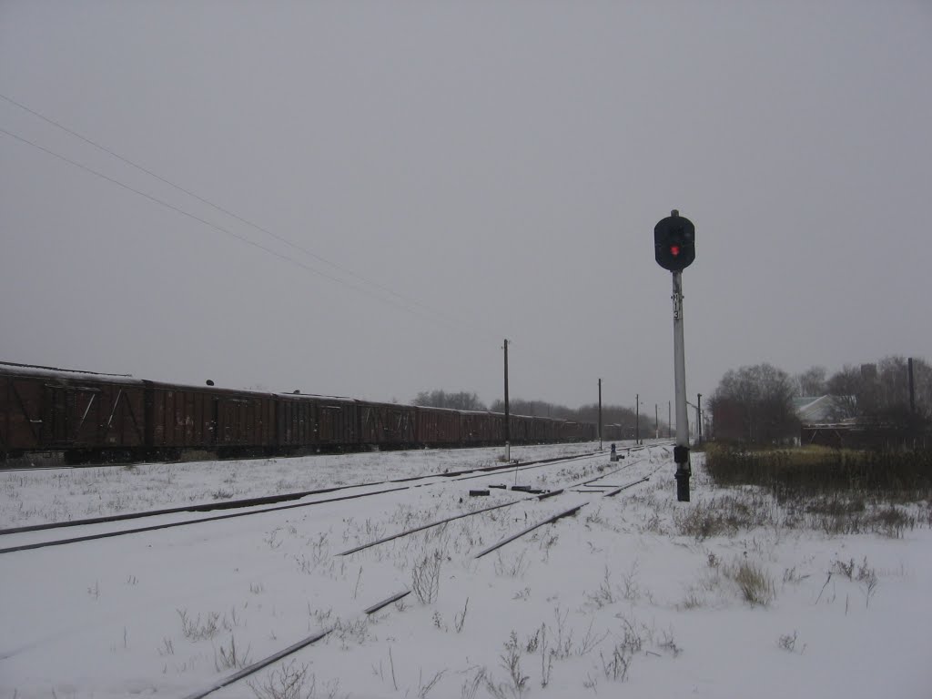 жд