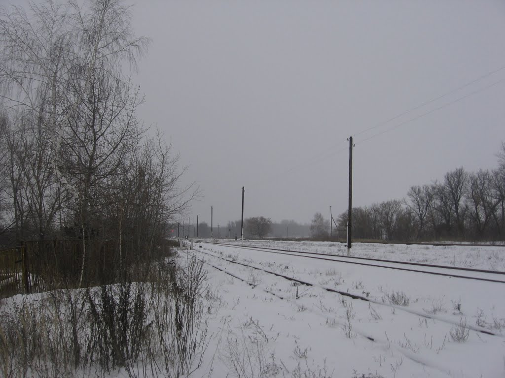 жд