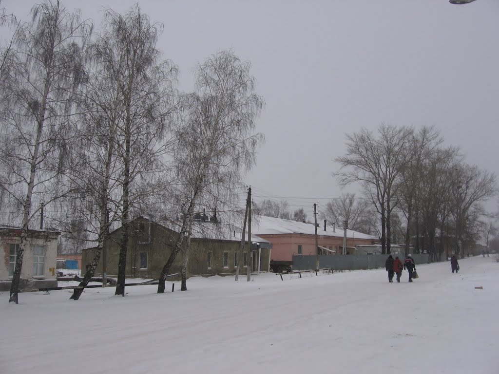 Куркино