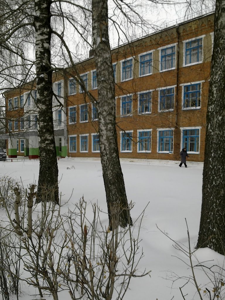 Школа №2 п. Куркино