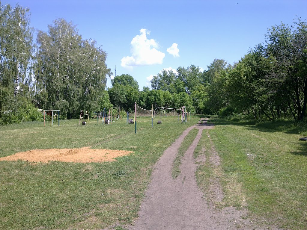 Школьная спортплощадка в Куркино