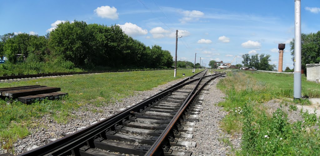 Дорога в сторону детства.
