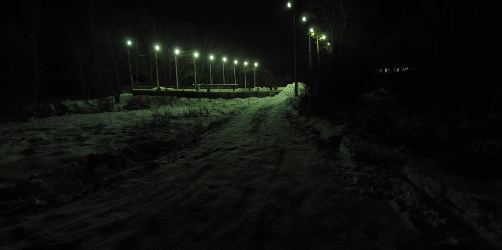 08.01.2011.коньки,зима...