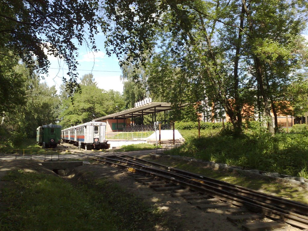 Novomoskovsk Childish railway....