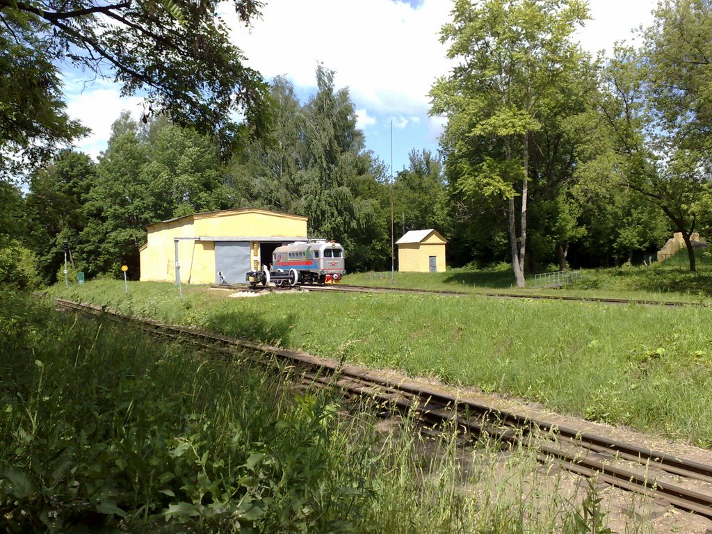 Novomoskovsk Childish railway...