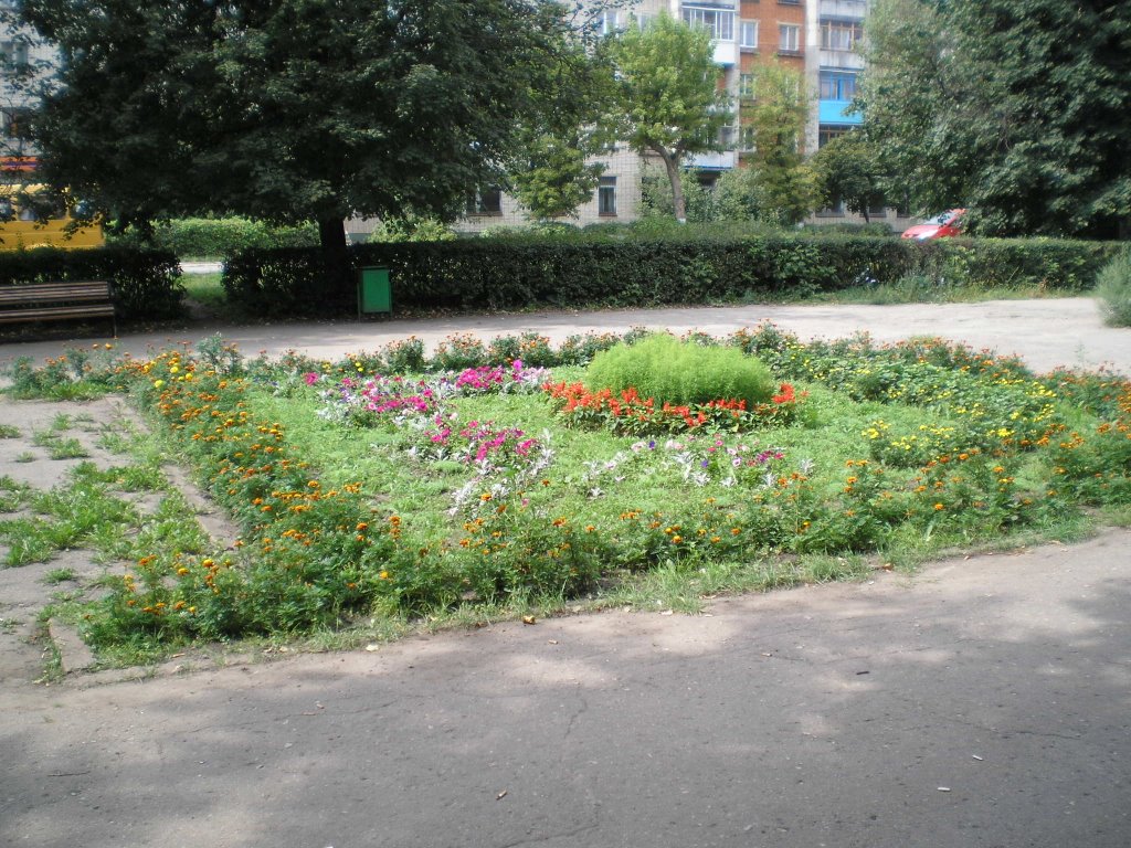 ул.Московская, клумба