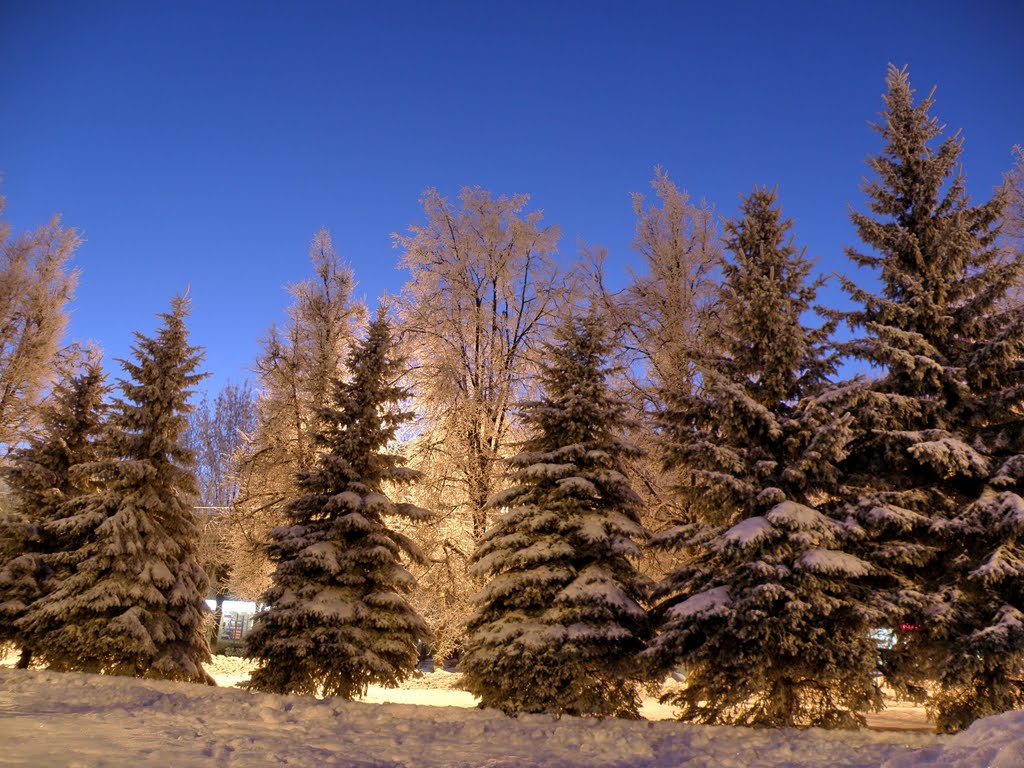 IM-Novomoskovsk