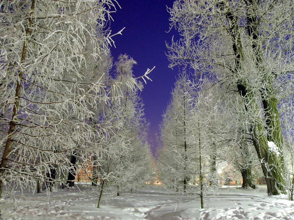 IM-Novomoskovsk