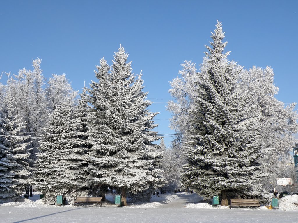 IM-Novomoskovsk
