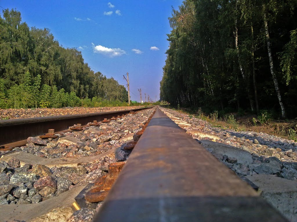 У истока Дона. г.Новомосковск. Детская ЖД