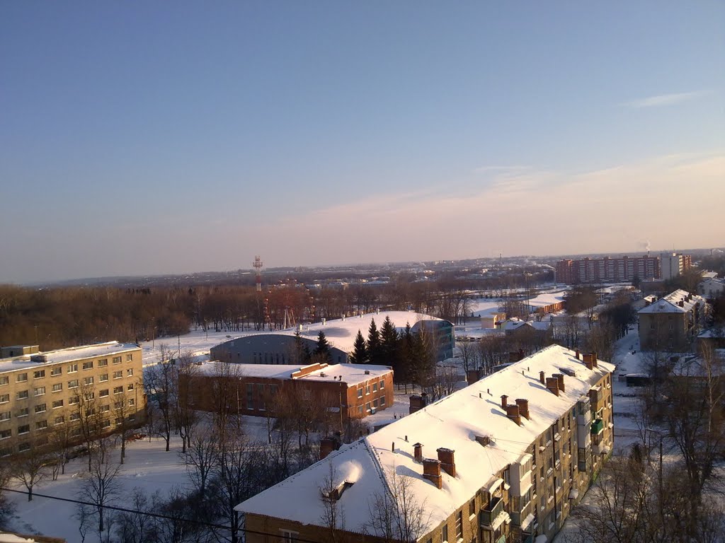 ледовый дворец в парке