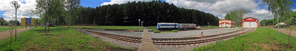 Новомосковск. Депо ДЖД.