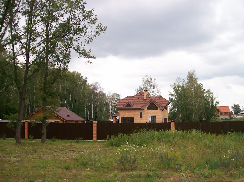 Дома у леса