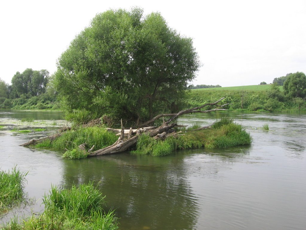 An island at Upa river