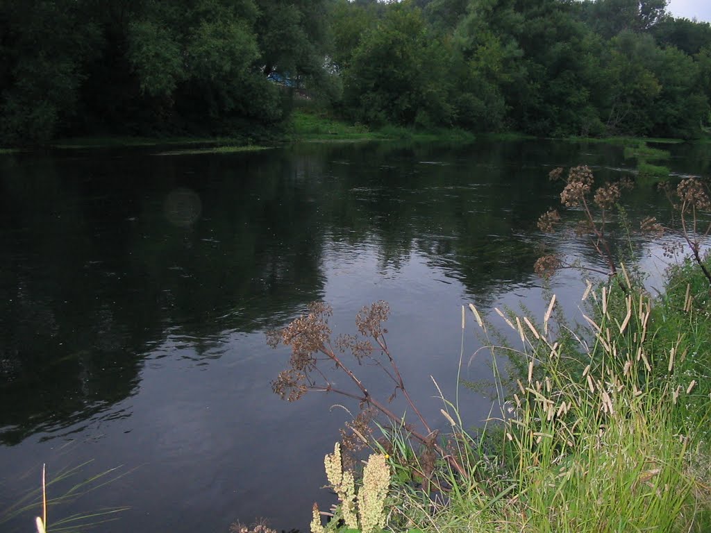 река Плава