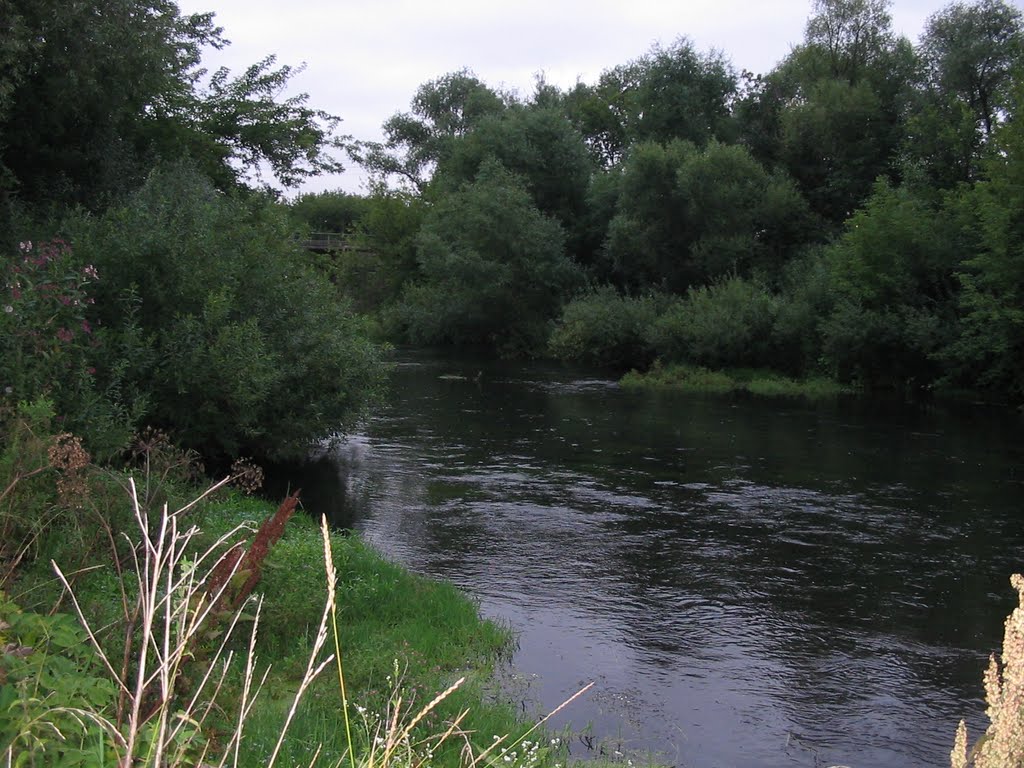 река Плава