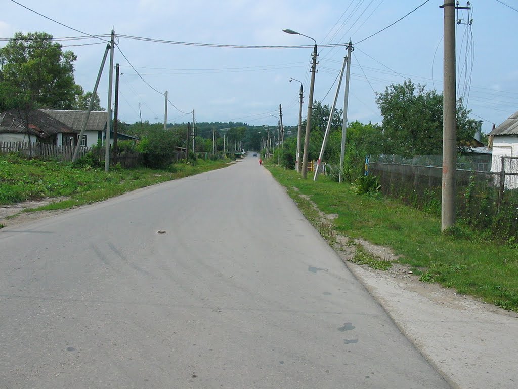 Плавск, улица Мичурина