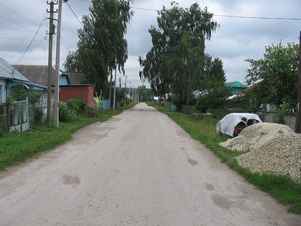 Плавск, улица Сафонова