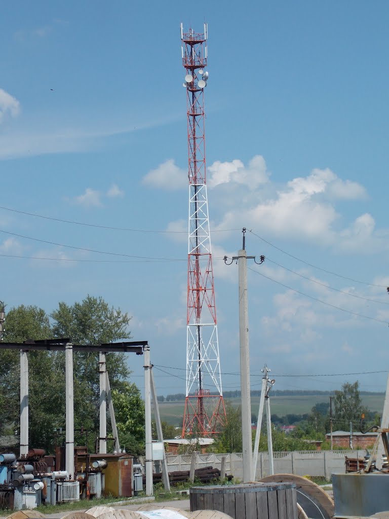 Плавск. Вышка сотовой связи. 06/06/2012г.