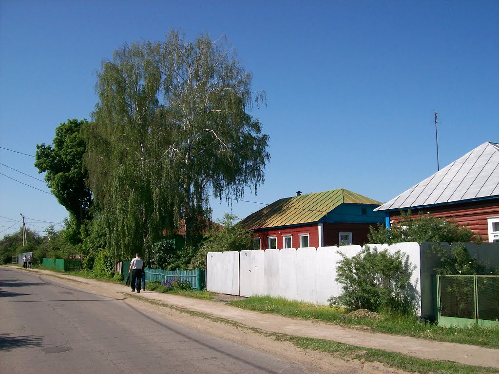 Плавск. Улица Красноармейская