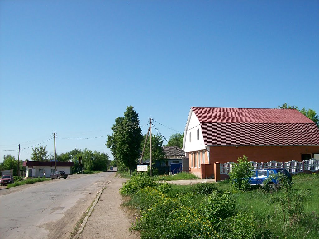 Плавск. Магазин за переездом