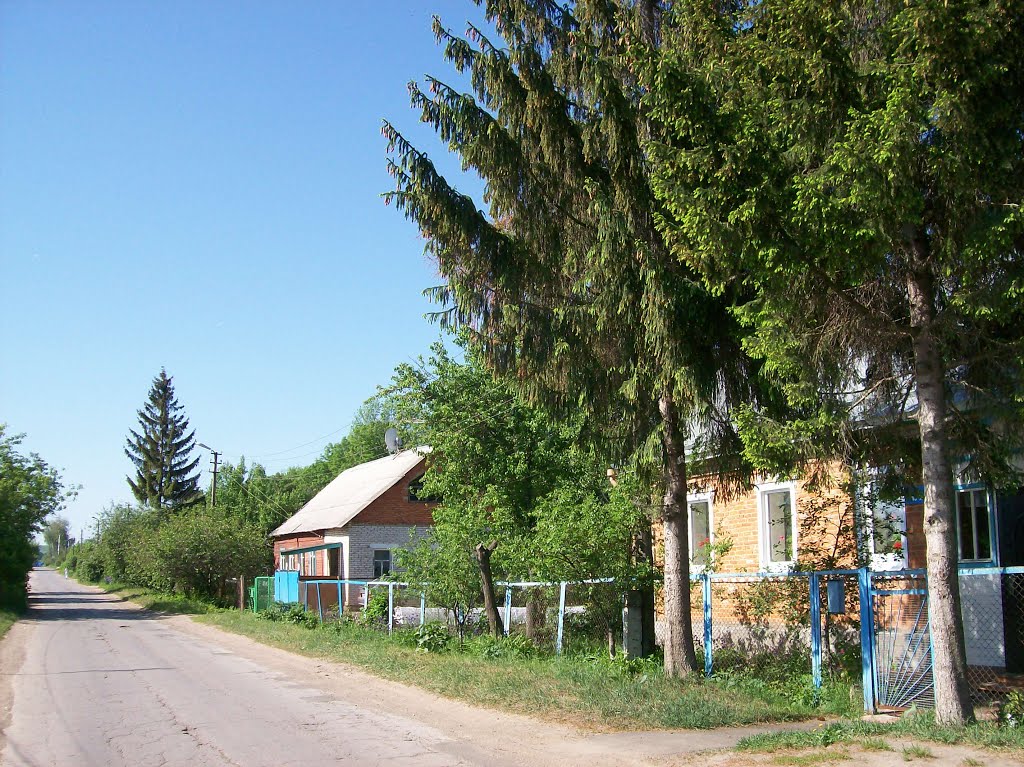 Плавск. Улица 50 лет Октября