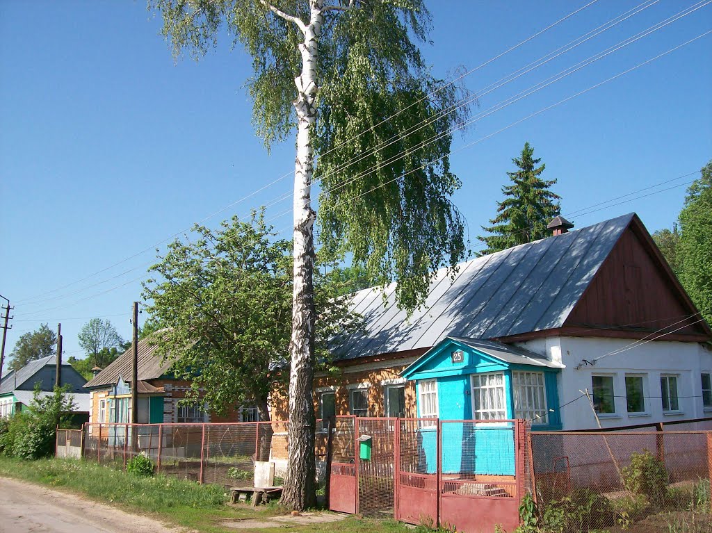 Плавск. Улица 50 лет Октября