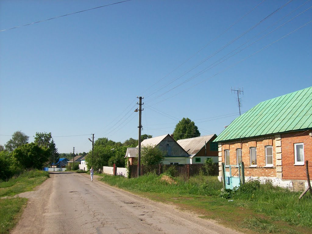 Плавск. Улица 50 лет Октября