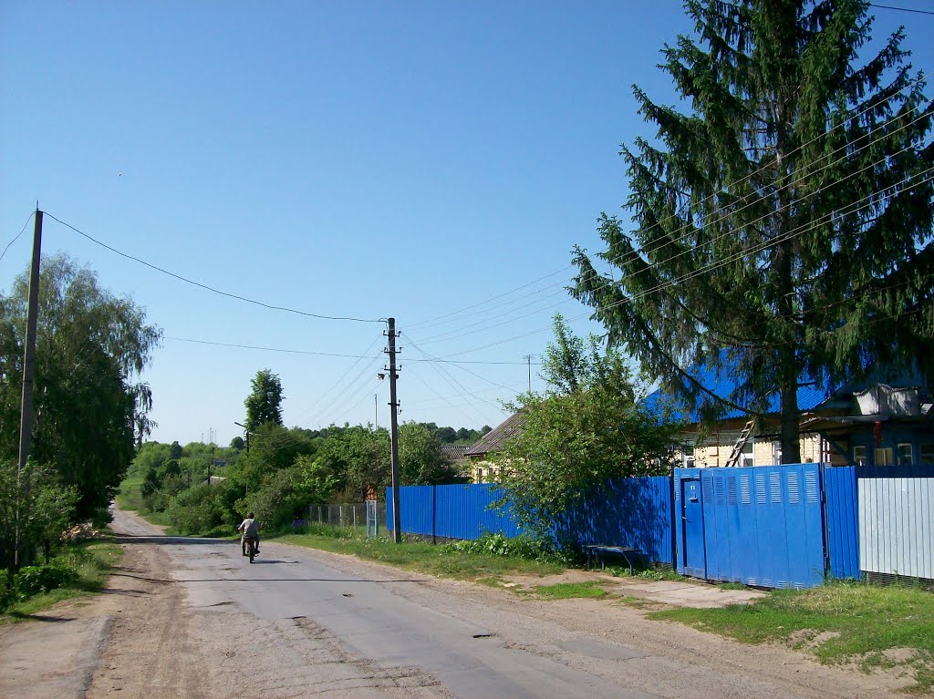 Плавск. Улица 50 лет Октября