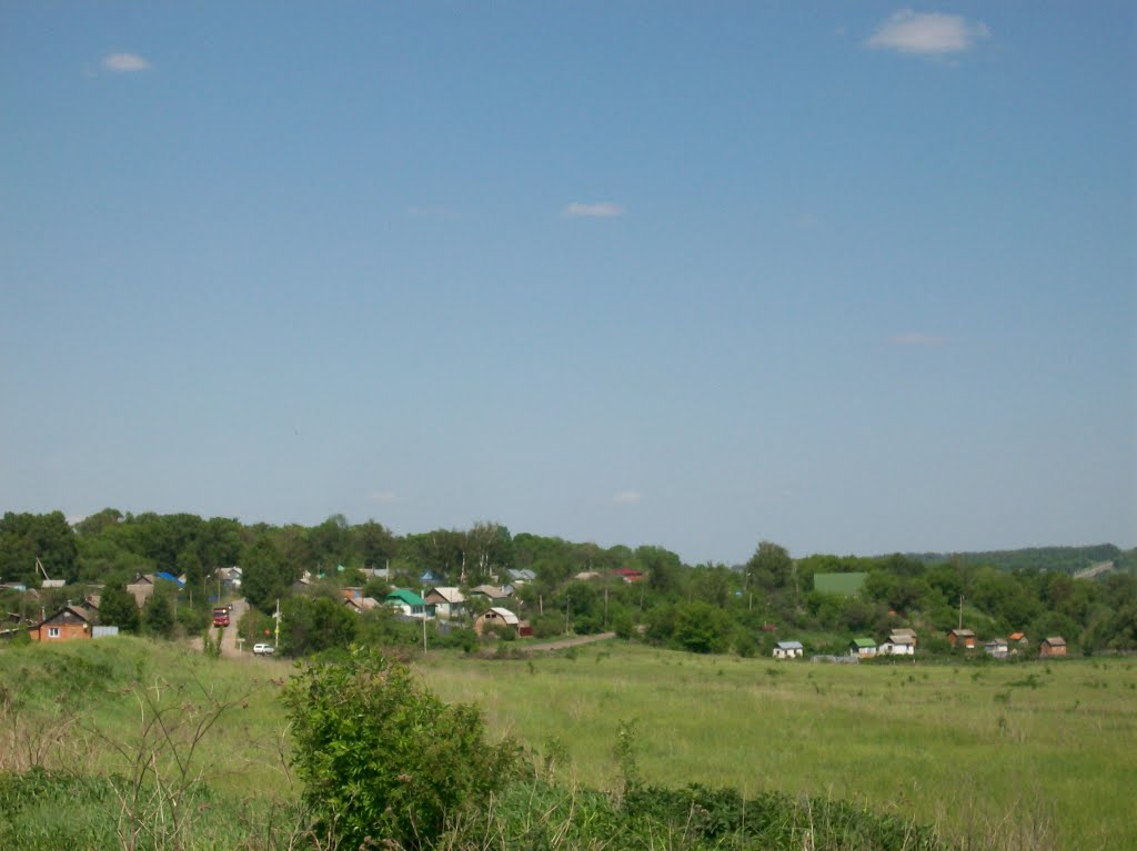 Плавск с юга