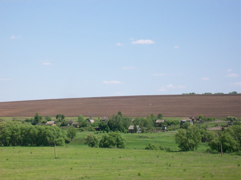 Дачи на берегу Плавы