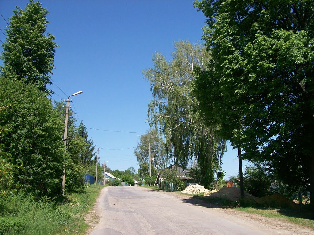 Плавск. Улица 50 лет Октября