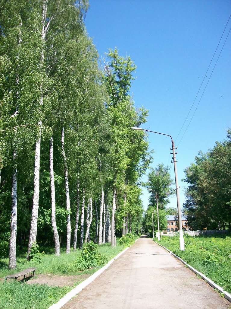 Плавск. Дорожка в парке