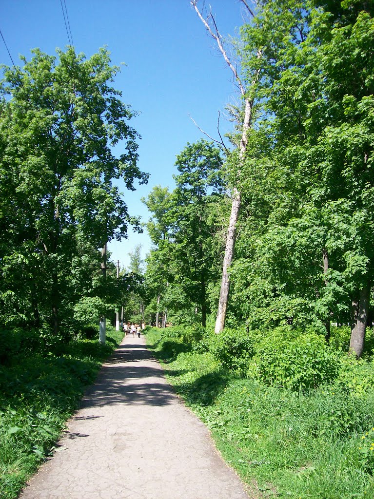 Плавск. Дорожка в парке