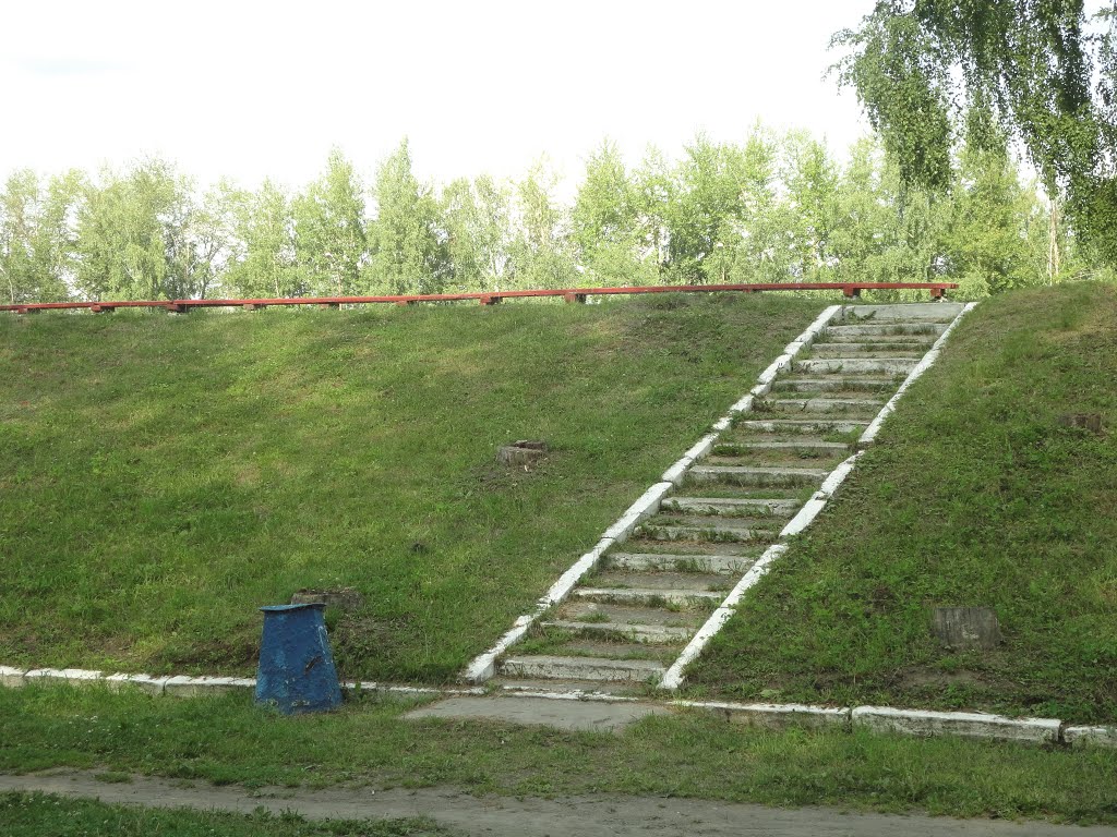 Сзади трибун