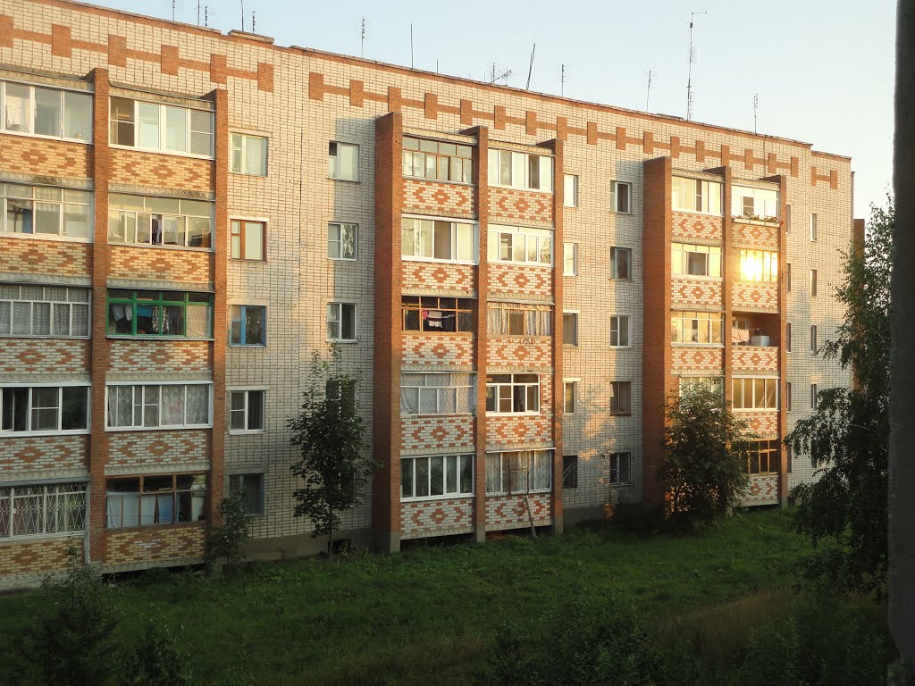 дом на Тульской