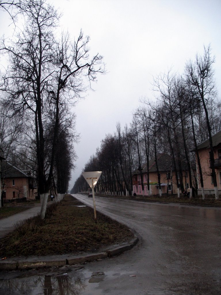 Суворов.Проспект мира.
