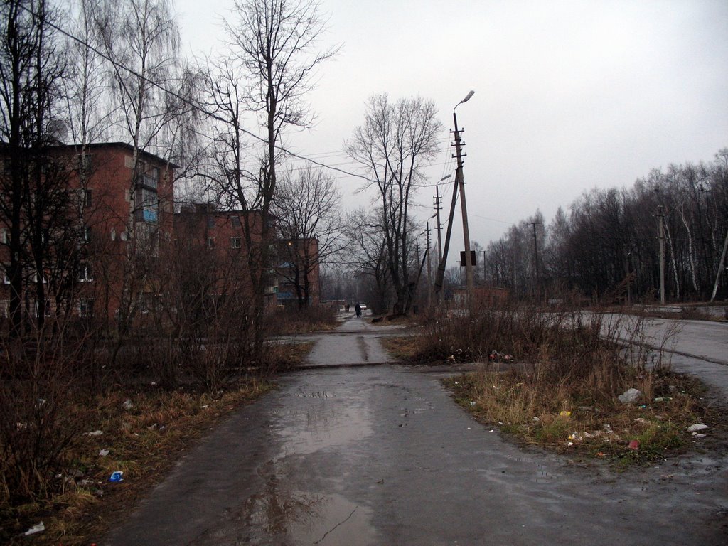 Суворов.Юбилейка.