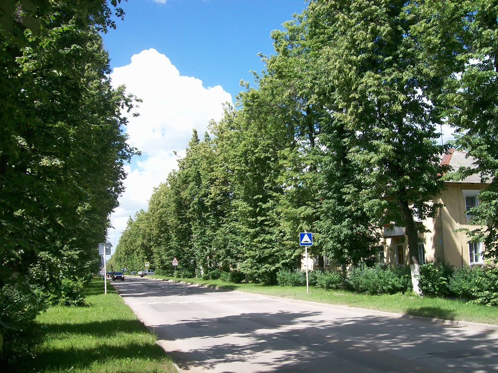 Суворов. Проспект Мира