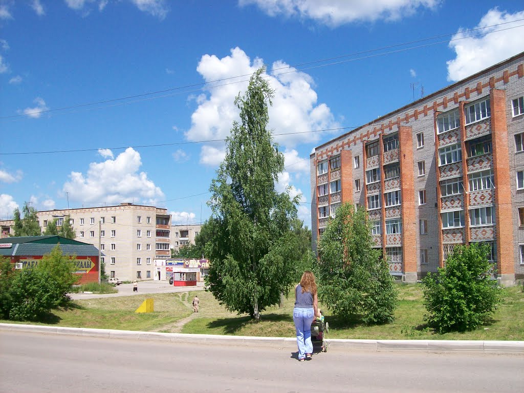 Суворов. На улице Тульской