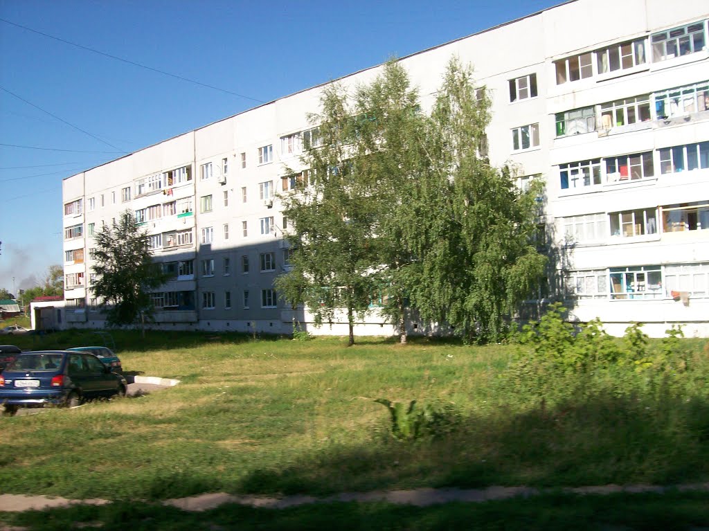 Узловая. Улица 14 Декабря