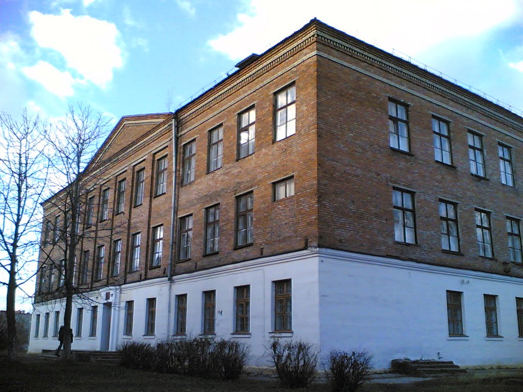 Узловая Школа 81