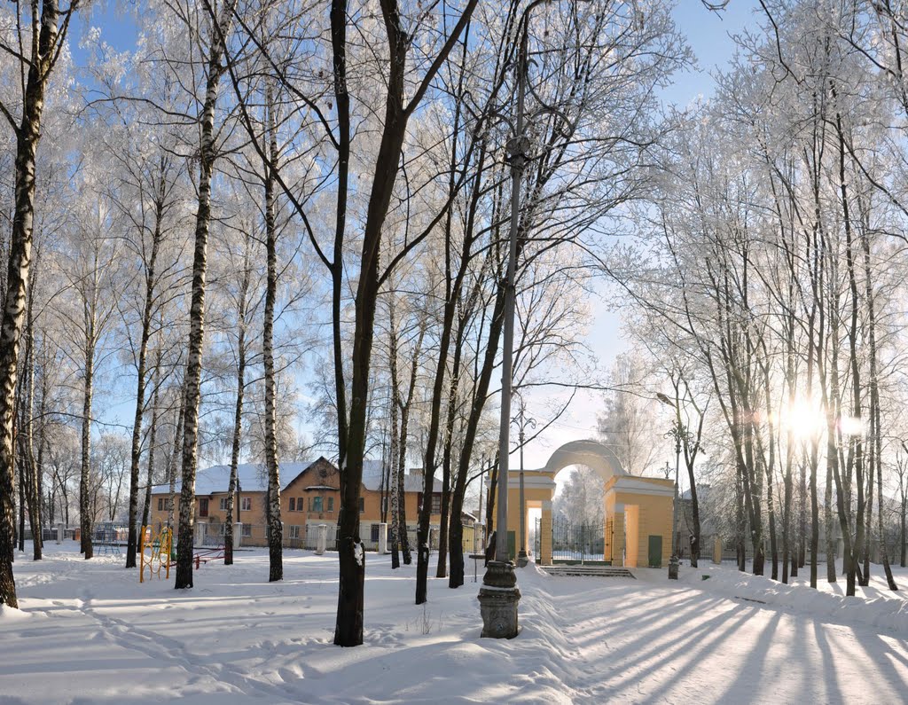 Городской парк. Зима