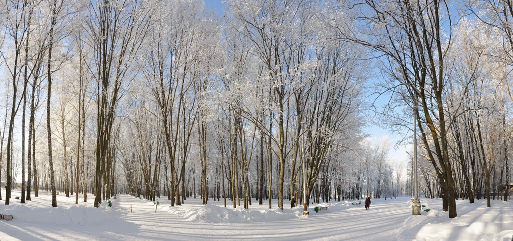 Городской парк.Зима. Панорама