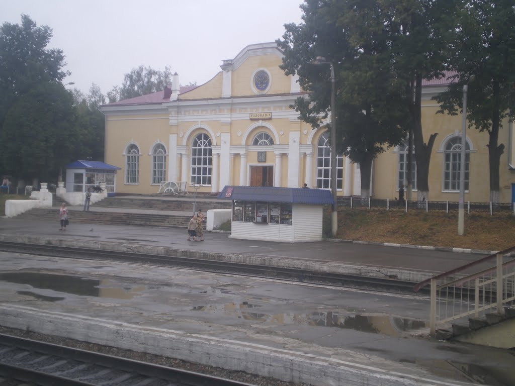 Станция "Узловая" 19.08.2010